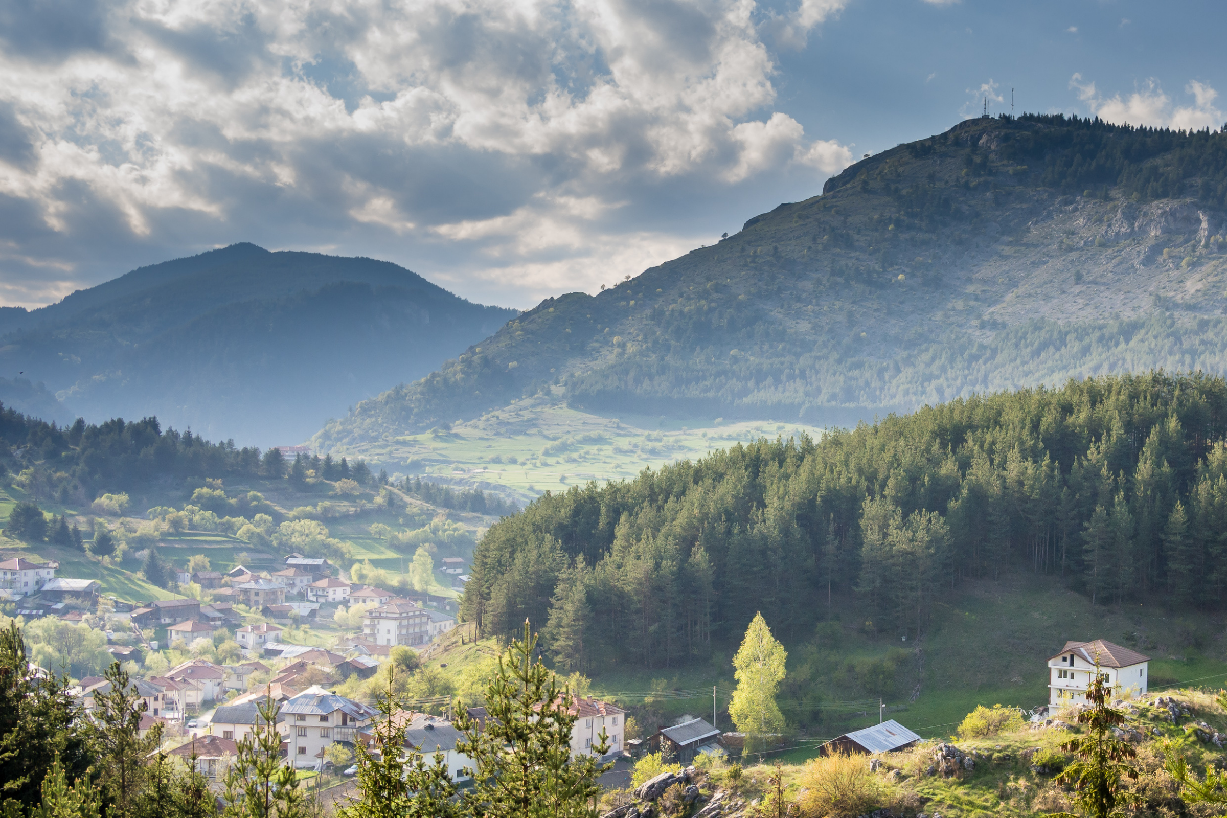 Yagodina[1].webp